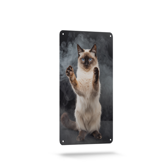 Cat Backplate Collection